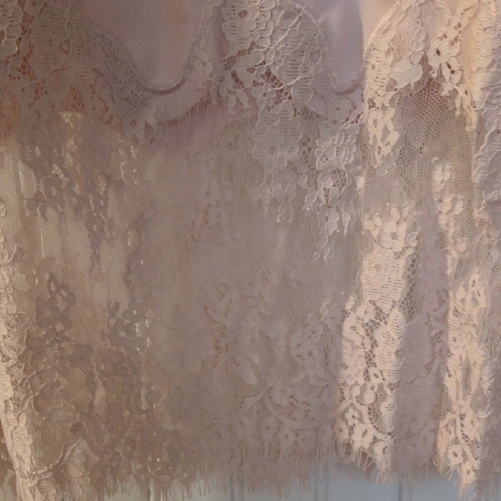 Rachel Zoe Soft Pink Garment - Picture 4 of 4